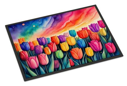 NEW Tulips in Color Doormat Front Door Mat Indoor Outdoor Rugs for Entryway, Non Slip Washable Low Pile, 18H X 27W